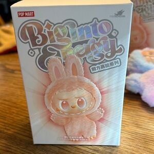 Authentic Labubu from a box set of 6 that I bought from kicks crew.